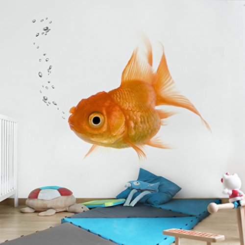 Apalis Kindertapeten Vliestapeten Colourful Fish Fototapete Quadrat | Vlies Tapete Wandtapete Wandbild Foto 3D Fototapete für Schlafzimmer Wohnzimmer Küche | Größe: 240x240 cm, gelb, 97562 von Apalis