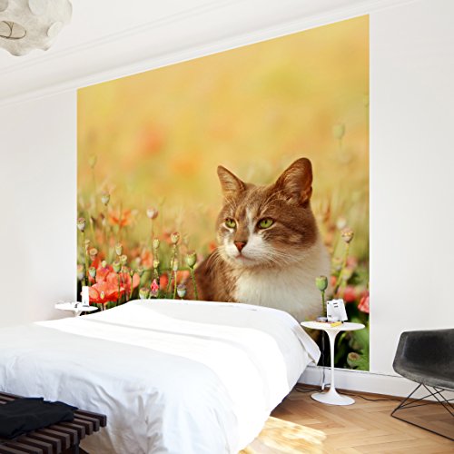 Apalis Kindertapeten Vliestapeten Katze im Mohnfeld Fototapete Quadrat | Vlies Tapete Wandtapete Wandbild Foto 3D Fototapete für Schlafzimmer Wohnzimmer Küche | Größe: 192x192 cm, gelb, 97765 von Apalis