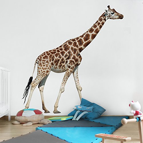 Apalis Kindertapeten Vliestapeten Laufende Giraffe Fototapete Quadrat | Vlies Tapete Wandtapete Wandbild Foto 3D Fototapete für Schlafzimmer Wohnzimmer Küche | Größe: 192x192 cm, braun, 97790 von Apalis