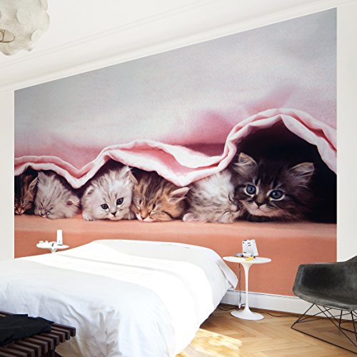 Apalis Kindertapeten Vliestapeten SugarSweet Fototapete Breit | Vlies Tapete Wandtapete Wandbild Foto 3D Fototapete für Schlafzimmer Wohnzimmer Küche | rosa, 94821 von Apalis