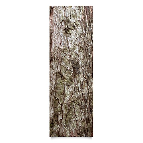 Apalis Klebefolie Holzoptik - Baumrinde - Dekorfolie Holz 50 x 50 cm von Apalis