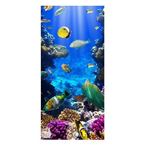 Magnettafel Underwater Dreams Memoboard Design Hoch Metall Magnet Pinnwand Motiv Wand Stahl Küche Büro, Größe HxB: 78cm x 37cm von apalis