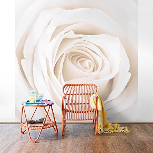 Apalis Rosen Vliestapete - Blumentapete Pretty White Rose - Blumen Fototapete Quadrat | Vlies Tapete Wandtapete Wandbild Foto 3D Fototapete für Schlafzimmer Wohnzimmer Küche | Größe HxB:192x192cm von Apalis