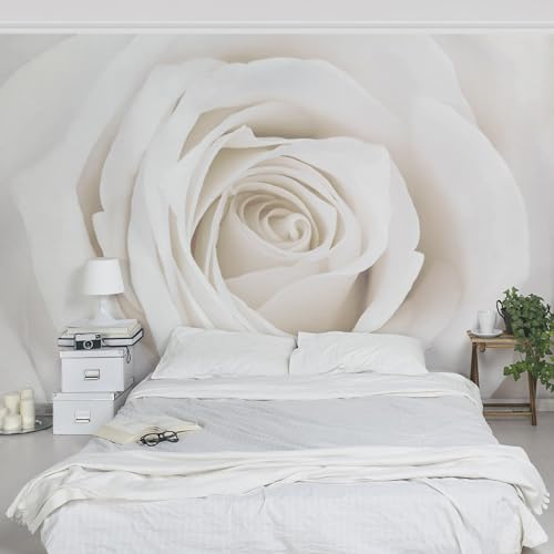 Apalis Rosentapete - Vliestapete - Blumentapete - Pretty White Rose - Blumen Fototapete Breit | Vlies Tapete Wandtapete Wandbild Foto 3D Fototapete für Schlafzimmer Wohnzimmer Küche | Größe HxB:225x336cm von Apalis