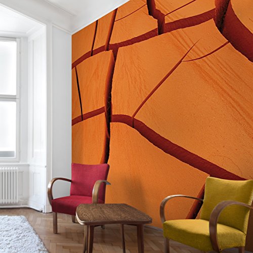 Apalis Vliestapete African Land Fototapete Quadrat | Vlies Tapete Wandtapete Wandbild Foto 3D Fototapete für Schlafzimmer Wohnzimmer Küche | Größe: 192x192 cm, orange, 97479 von Apalis