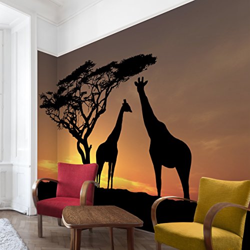 Apalis Vliestapete African Sunset Fototapete Breit | Vlies Tapete Wandtapete Wandbild Foto 3D Fototapete für Schlafzimmer Wohnzimmer Küche | orange, 94882 von Apalis