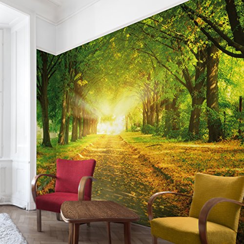 Apalis Vliestapete Autumn Avenue Fototapete Breit | Vlies Tapete Wandtapete Wandbild Foto 3D Fototapete für Schlafzimmer Wohnzimmer Küche | grün, 98569 von Apalis