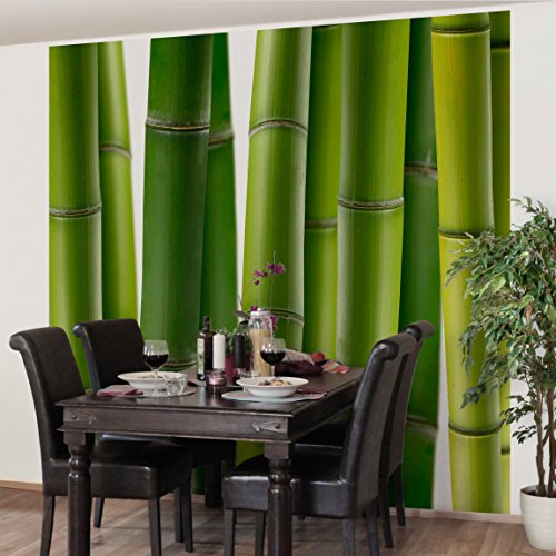 Apalis Vliestapete Blumentapete Bambuspflanzen Fototapete Quadrat | Vlies Tapete Wandtapete Wandbild Foto 3D Fototapete für Schlafzimmer Wohnzimmer Küche | Größe: 192x192 cm, grün, 97503 von Apalis