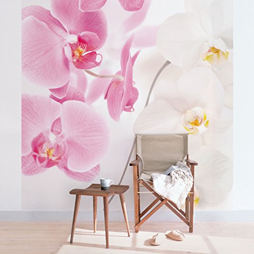 Apalis Fototapete Orchidee - Vliestapete - Delicate Orchids - Blumentapete Quadrat | Vlies Tapete Wandtapete Wandbild Foto 3D Fototapete für Schlafzimmer Wohnzimmer Küche | Größe HxB:336x336cm von Apalis