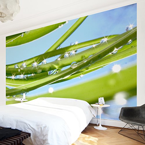 Apalis Vliestapete Blumentapete Fresh Green Fototapete Breit | Vlies Tapete Wandtapete Wandbild Foto 3D Fototapete für Schlafzimmer Wohnzimmer Küche | grün, 94646 von Apalis