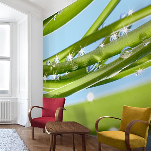 Apalis Vliestapete Blumentapete Fresh Green Fototapete Quadrat | Vlies Tapete Wandtapete Wandbild Foto 3D Fototapete für Schlafzimmer Wohnzimmer Küche | Größe: 192x192 cm, grün, 97671 von Apalis