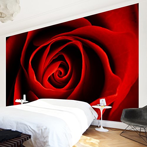 Apalis Vliestapete Blumentapete Liebliche Rose Fototapete Breit | Vlies Tapete Wandtapete Wandbild Foto 3D Fototapete für Schlafzimmer Wohnzimmer Küche | rot, 94692 von Apalis