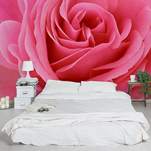 Apalis Vliestapete Blumentapete Lustful Pink Rose Fototapete Breit | Vlies Tapete Wandtapete Wandbild Foto 3D Fototapete für Schlafzimmer Wohnzimmer Küche | rosa, 94698 von Apalis
