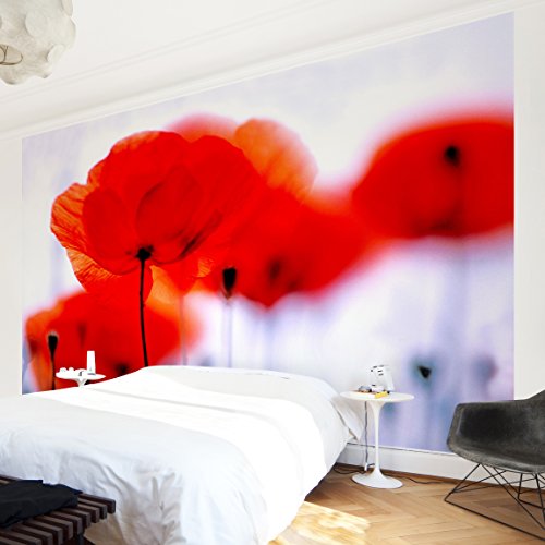 Apalis Vliestapete Blumentapete Magic Poppies Fototapete Breit | Vlies Tapete Wandtapete Wandbild Foto 3D Fototapete für Schlafzimmer Wohnzimmer Küche | rot, 94700 von Apalis