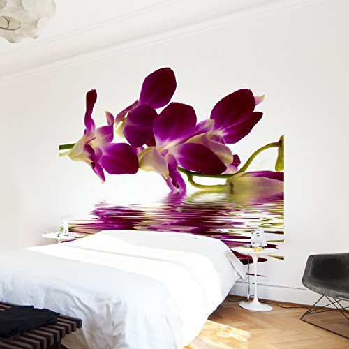 Apalis Vliestapete Blumentapete Pink Orchid Waters Fototapete Quadrat | Vlies Tapete Wandtapete Wandbild Foto 3D Fototapete für Schlafzimmer Wohnzimmer Küche | Größe: 336x336 cm, mehrfarbig, 97916 von Apalis