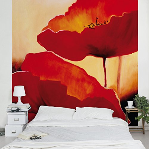 Apalis Vliestapete Blumentapete Poppy Family Fototapete Quadrat | Vlies Tapete Wandtapete Wandbild Foto 3D Fototapete für Schlafzimmer Wohnzimmer Küche | Größe: 240x240 cm, rot, 97920 von Apalis