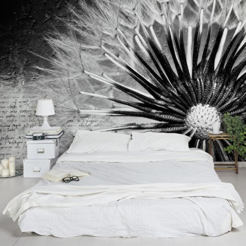 Apalis Vliestapete Blumentapete Pusteblume schwarz und Weiß Fototapete Breit | Vlies Tapete Wandtapete Wandbild Foto 3D Fototapete für Schlafzimmer Wohnzimmer Küche | grau, 94776 von Apalis