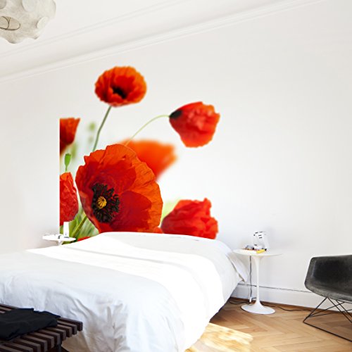 Apalis Vliestapete Blumentapete Radiant Poppies Fototapete Quadrat | Vlies Tapete Wandtapete Wandbild Foto 3D Fototapete für Schlafzimmer Wohnzimmer Küche | Größe: 336x336 cm, rot, 97931 von Apalis