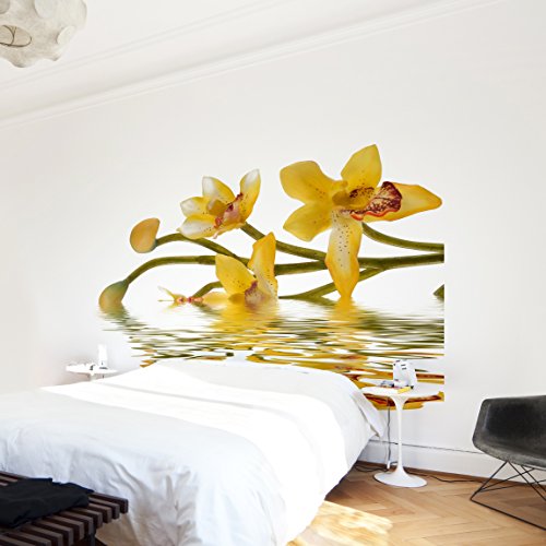 Apalis Vliestapete Blumentapete Saffron Orchid Waters Fototapete Quadrat | Vlies Tapete Wandtapete Wandbild Foto 3D Fototapete für Schlafzimmer Wohnzimmer Küche | Größe: 288x288 cm, gelb, 97973 von Apalis