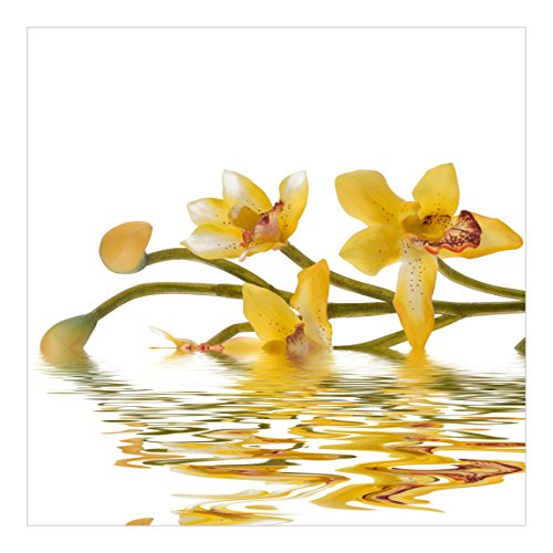 Apalis Vliestapete Blumentapete Saffron Orchid Waters Fototapete Quadrat | Vlies Tapete Wandtapete Wandbild Foto 3D Fototapete für Schlafzimmer Wohnzimmer Küche | Größe: 192x192 cm, gelb, 97973 von Apalis