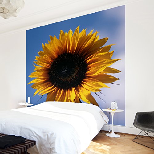 Apalis Vliestapete Blumentapete Sunflower Trio Teil 1 Fototapete Quadrat | Vlies Tapete Wandtapete Wandbild Foto 3D Fototapete für Schlafzimmer Wohnzimmer Küche | Größe: 240x240 cm, blau, 98056 von Apalis