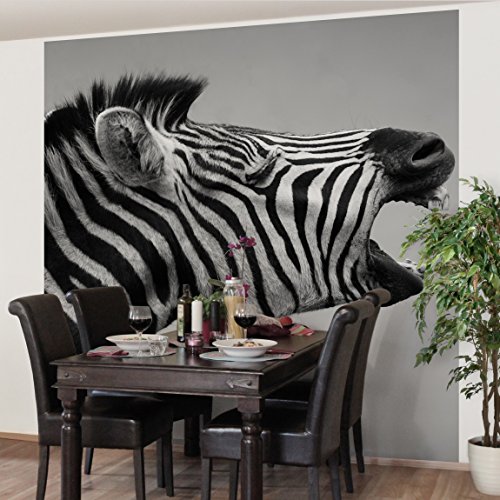 Apalis Vliestapete Brüllendes Zebra II Fototapete Quadrat | Vlies Tapete Wandtapete Wandbild Foto 3D Fototapete für Schlafzimmer Wohnzimmer Küche | Größe: 240x240 cm, grau, 95263 von Apalis