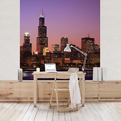 Apalis Vliestapete Chicago Skyline Fototapete Quadrat | Vlies Tapete Wandtapete Wandbild Foto 3D Fototapete für Schlafzimmer Wohnzimmer Küche | Größe: 240x240 cm, mehrfarbig, 97547 von Apalis