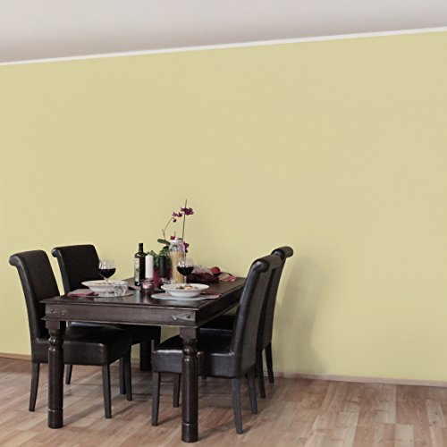 Apalis Vliestapete Colour Crème UniTapete Breit | Vlies Tapete Wandtapete Wandbild Foto 3D Fototapete für Schlafzimmer Wohnzimmer Küche | beige, 94570 von Apalis