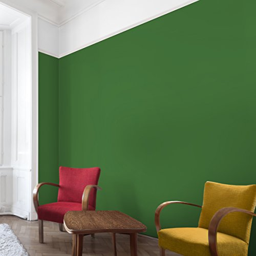 Apalis Vliestapete Colour Dark Green UniTapete Breit | Vlies Tapete Wandtapete Wandbild Foto 3D Fototapete für Schlafzimmer Wohnzimmer Küche | grün, 94571 von Apalis