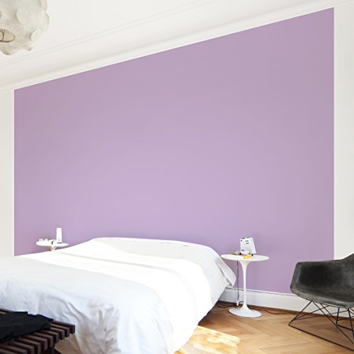 Apalis Vliestapete Colour Lavender UniTapete Breit | Vlies Tapete Wandtapete Wandbild Foto 3D Fototapete für Schlafzimmer Wohnzimmer Küche | rosa, 94572 von Apalis