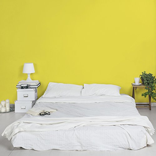 Apalis Vliestapete Colour Lemon Yellow UniTapete Breit | Vlies Tapete Wandtapete Wandbild Foto 3D Fototapete für Schlafzimmer Wohnzimmer Küche | gelb, 94573 von Apalis