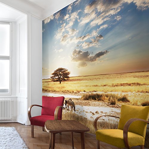 Apalis Vliestapete Das Leben der Zebra Fototapete Quadrat | Vlies Tapete Wandtapete Wandbild Foto 3D Fototapete für Schlafzimmer Wohnzimmer Küche | Größe: 240x240 cm, blau, 95290 von Apalis