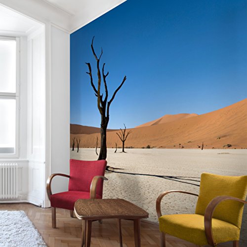 Apalis Vliestapete Das Sossusvlei in Namibia Fototapete Quadrat | Vlies Tapete Wandtapete Wandbild Foto 3D Fototapete für Schlafzimmer Wohnzimmer Küche | Größe: 336x336 cm, blau, 95291 von Apalis