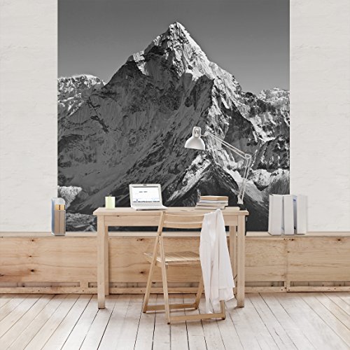 Apalis Vliestapete Der Himalaya II Fototapete Quadrat | Vlies Tapete Wandtapete Wandbild Foto 3D Fototapete für Schlafzimmer Wohnzimmer Küche | Größe: 288x288 cm, grau, 95295 von Apalis