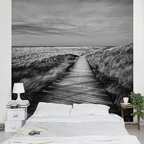 Apalis Vliestapete Dünenweg auf Sylt II Fototapete Quadrat | Vlies Tapete Wandtapete Wandbild Foto 3D Fototapete für Schlafzimmer Wohnzimmer Küche | Größe: 336x336 cm, grau, 95315 von Apalis