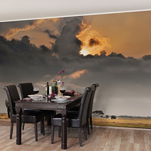 Apalis Vliestapete Elefanten der Savanne Fototapete Breit | Vlies Tapete Wandtapete Wandbild Foto 3D Fototapete für Schlafzimmer Wohnzimmer Küche | mehrfarbig, 94609 von Apalis