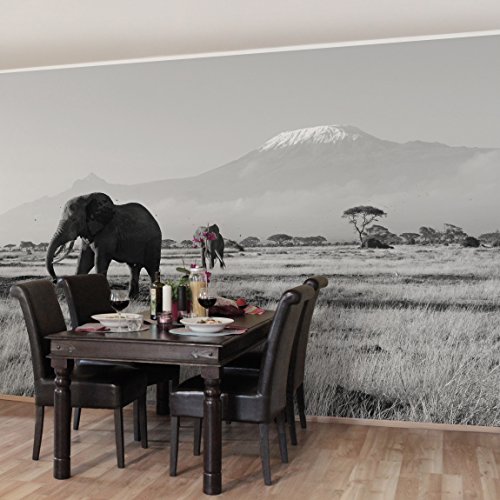 Apalis Vliestapete Elefanten vor dem Kilimanjaro in Kenya II Fototapete Breit | Vlies Tapete Wandtapete Wandbild Foto 3D Fototapete für Schlafzimmer Wohnzimmer Küche | grau, 94610 von Apalis
