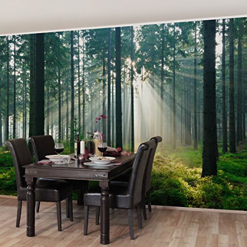 Apalis Vliestapete Enlightened Forest Fototapete Breit | Vlies Tapete Wandtapete Wandbild Foto 3D Fototapete für Schlafzimmer Wohnzimmer Küche | mehrfarbig, 98574 von Apalis