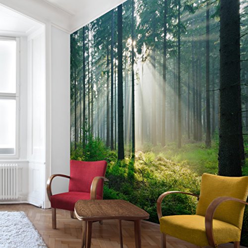 Apalis Vliestapete Enlightened Forest Fototapete Quadrat | Vlies Tapete Wandtapete Wandbild Foto 3D Fototapete für Schlafzimmer Wohnzimmer Küche | Größe: 336x336 cm, grün, 98449 von Apalis