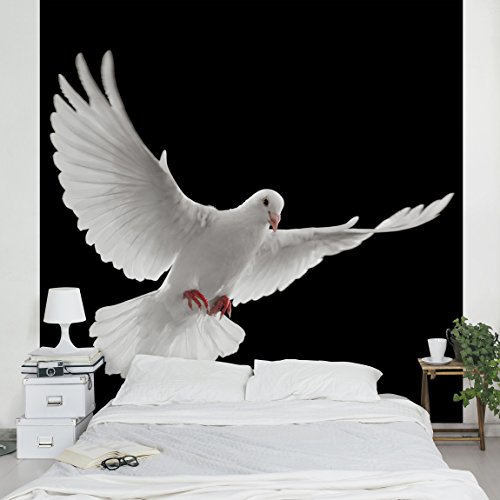 Apalis Vliestapete Friedenstaube Fototapete Quadrat | Vlies Tapete Wandtapete Wandbild Foto 3D Fototapete für Schlafzimmer Wohnzimmer Küche | Größe: 192x192 cm, schwarz, 97674 von Apalis