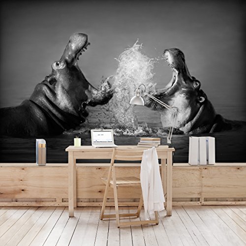 Apalis Vliestapete Hippo Fight Fototapete Breit | Vlies Tapete Wandtapete Wandbild Foto 3D Fototapete für Schlafzimmer Wohnzimmer Küche | grau, 94672 von Apalis