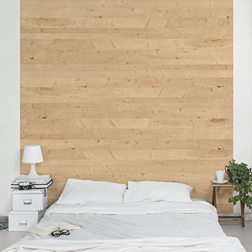 Apalis Vliestapete Holz Apfelbirke Fototapete Quadrat | Vlies Tapete Wandtapete Wandbild Foto 3D Fototapete für Schlafzimmer Wohnzimmer Küche | Größe: 192x192 cm, beige, 104831 von Apalis