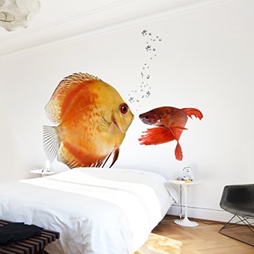 Apalis Vliestapete Küssende Fische Fototapete Quadrat | Vlies Tapete Wandtapete Wandbild Foto 3D Fototapete für Schlafzimmer Wohnzimmer Küche | Größe: 192x192 cm, gelb, 97784 von Apalis