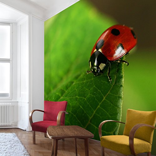 Apalis Vliestapete Lady Bird Fototapete Quadrat | Vlies Tapete Wandtapete Wandbild Foto 3D Fototapete für Schlafzimmer Wohnzimmer Küche | Größe: 288x288 cm, grün, 97786 von Apalis