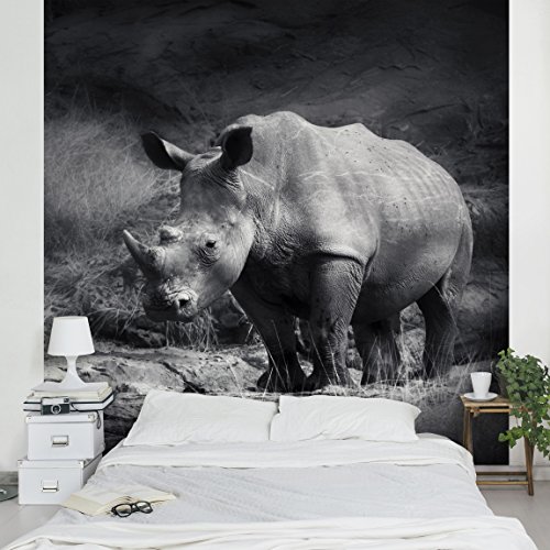 Apalis Vliestapete Lonesome Rhinoceros Fototapete Quadrat | Vlies Tapete Wandtapete Wandbild Foto 3D Fototapete für Schlafzimmer Wohnzimmer Küche | Größe: 192x192 cm, grau, 97807 von Apalis