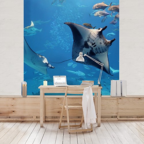 Apalis Vliestapete Manta Ray Fototapete Quadrat | Vlies Tapete Wandtapete Wandbild Foto 3D Fototapete für Schlafzimmer Wohnzimmer Küche | Größe: 336x336 cm, türkis, 97831 von Apalis