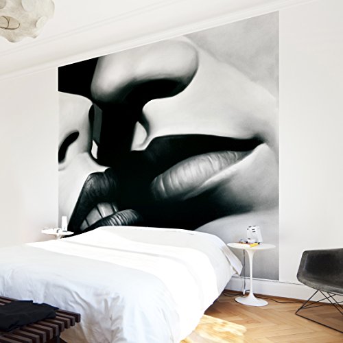 Apalis Vliestapete Passion Fototapete Quadrat | Vlies Tapete Wandtapete Wandbild Foto 3D Fototapete für Schlafzimmer Wohnzimmer Küche | Größe: 336x336 cm, grau, 97903 von Apalis