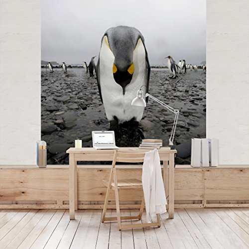 Apalis Vliestapete Pinguine Fototapete Quadrat | Vlies Tapete Wandtapete Wandbild Foto 3D Fototapete für Schlafzimmer Wohnzimmer Küche | Größe: 192x192 cm, schwarz, 97911 von Apalis