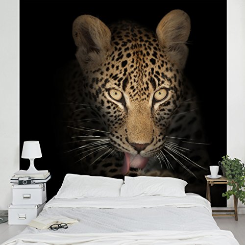 Apalis Vliestapete Resting Leopard Fototapete Quadrat | Vlies Tapete Wandtapete Wandbild Foto 3D Fototapete für Schlafzimmer Wohnzimmer Küche | Größe: 288x288 cm, schwarz, 97958 von Apalis