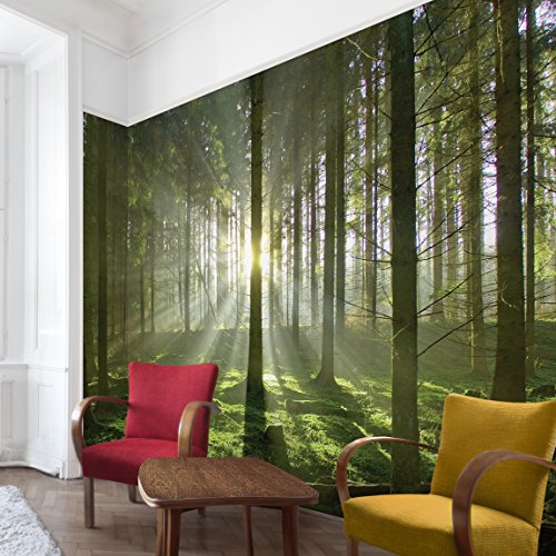 Apalis Vliestapete Spring Fairytale Fototapete Breit | Vlies Tapete Wandtapete Wandbild Foto 3D Fototapete für Schlafzimmer Wohnzimmer Küche | grün, 98589 von Apalis